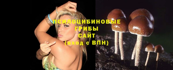 винт Бородино
