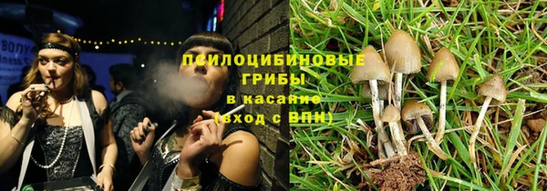 винт Бородино