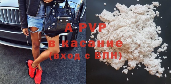 винт Бородино